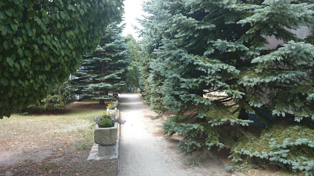 Nová Bystřice Lesni Hotel Perslak מראה חיצוני תמונה